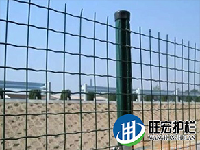 荷蘭網(wǎng)、牛欄網(wǎng)